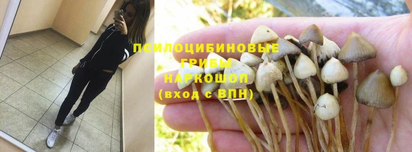 гидра Магас