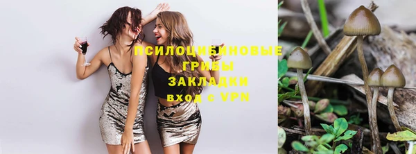 MDMA Premium VHQ Медвежьегорск