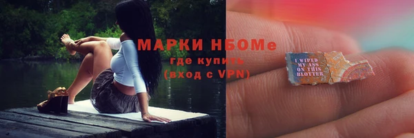 гидра Магас