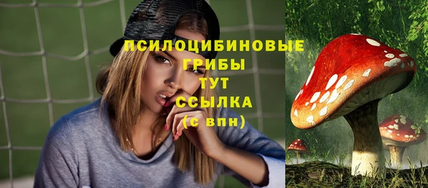 MDMA Premium VHQ Медвежьегорск