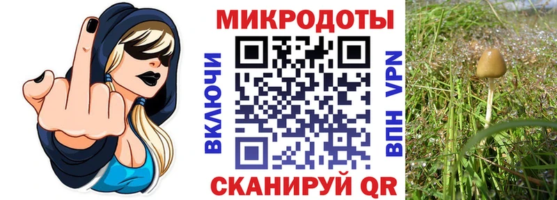 Псилоцибиновые грибы MAGIC MUSHROOMS  Урус-Мартан 