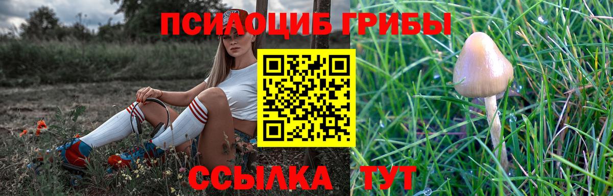 Галлюциногенные грибы ЛСД  Урус-Мартан 