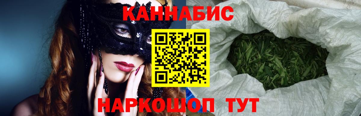 Канабис план  Каннабис сатива  Урус-Мартан  Бошки марихуана Amnesia 